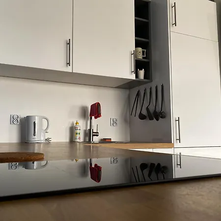 Tanie Noclegi Gliwice - Apartamenty Łowicka 28 Zewnętrze zdjęcie